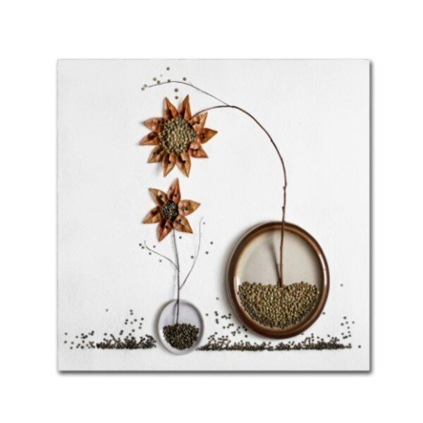 Dimitar Lazarov 'Herbarium' Canvas Art, 14x14, Trademark Fine Art, Mfr#: 1X02927-C1414GG